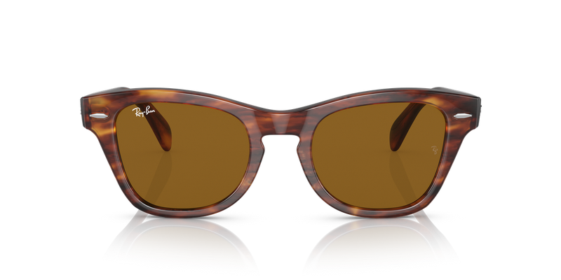 Ray-Ban RB0707S in Striped Havana - Alternate View
