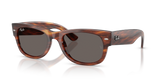 Striped Havana / Dark Grey (954/B1)