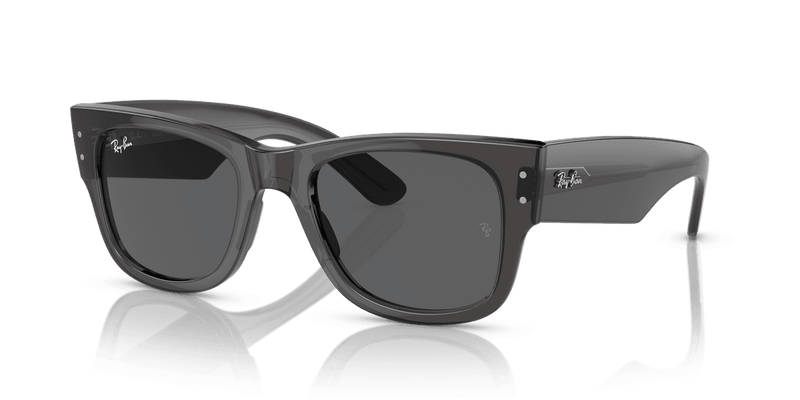 Ray-Ban MEGA WAYFARER RB0840S in Transparent Black / Dark Grey (1406B1) - Alternate View