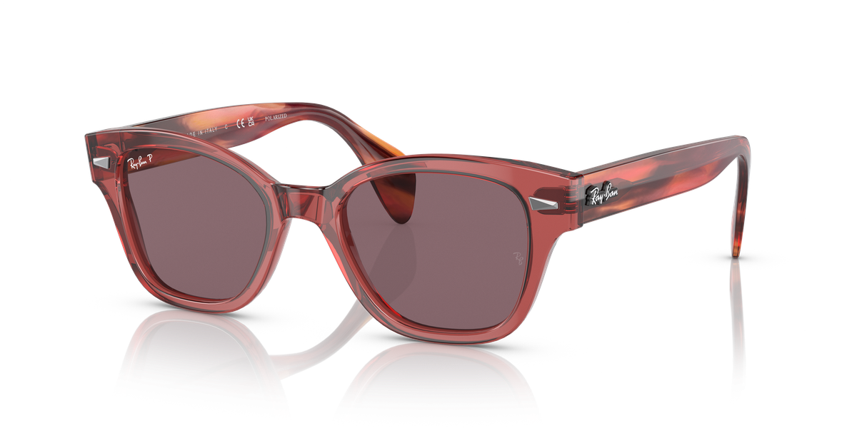 Ray-Ban RB0880S