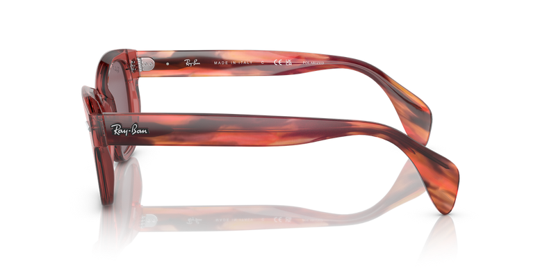 Ray-Ban RB0880S in Transparent Pink - Back View
