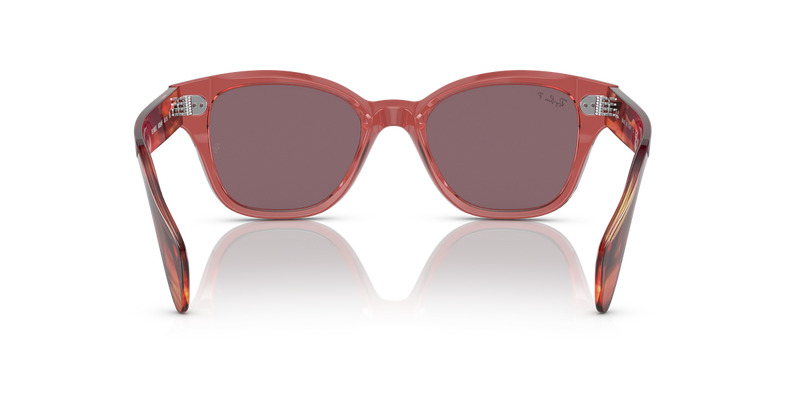 Ray-Ban RB0880S in Transparent Pink - Temple Detail