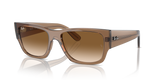 Transparent Light Brown / Clear & Brown (664051)