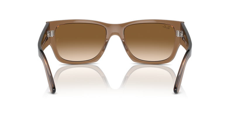 Ray-Ban CARLOS in Transparent Light Brown - Temple Detail