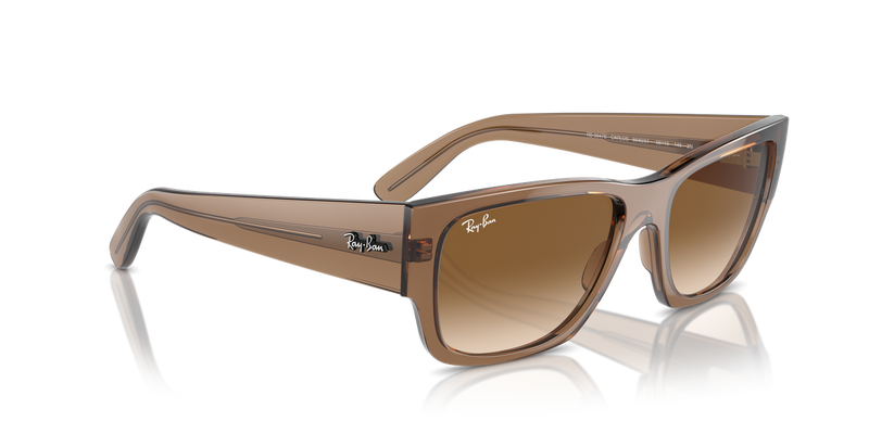 Ray-Ban CARLOS in Transparent Light Brown - Alternate View