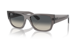 Opal Dark Grey / Grey (667571)