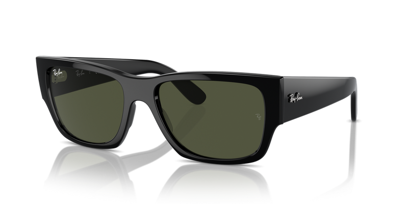 Ray-Ban CARLOS in Black - Alternate View