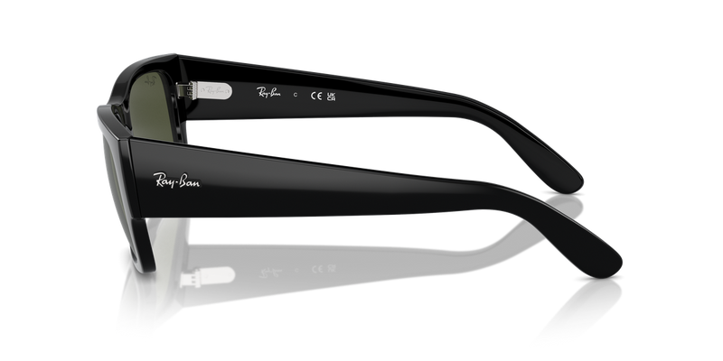 Ray-Ban CARLOS in Black - Alternate View