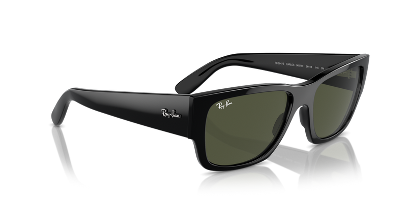 Ray-Ban CARLOS in Black - Alternate View