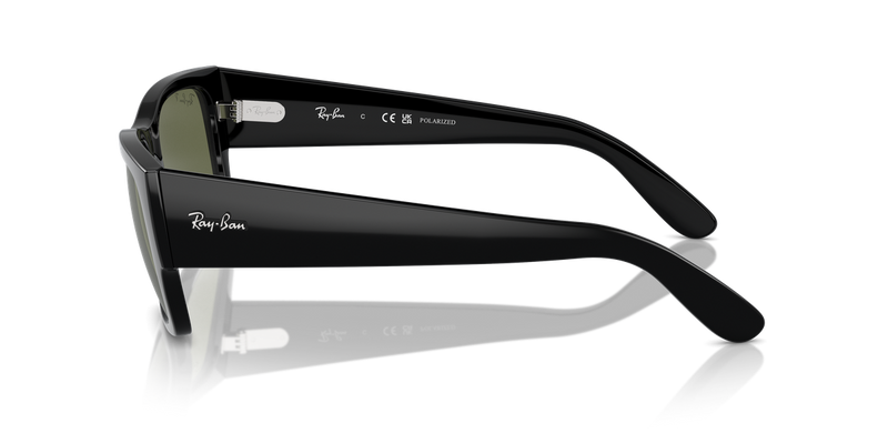 Ray-Ban CARLOS in Black - Alternate View