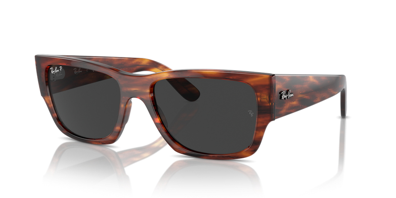 Ray-Ban CARLOS in Striped Havana - Alternate View