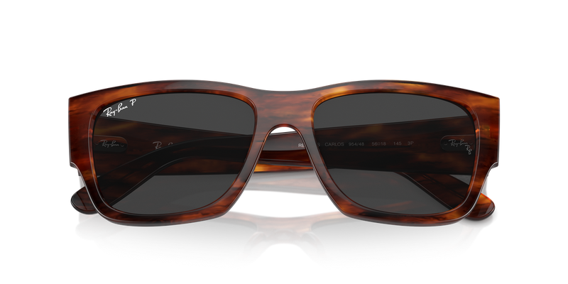 Ray-Ban CARLOS in Striped Havana - Alternate View