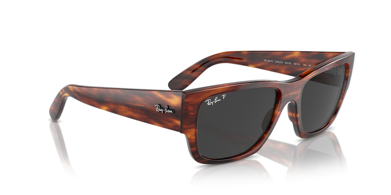 Ray-Ban CARLOS in Striped Havana - Alternate View