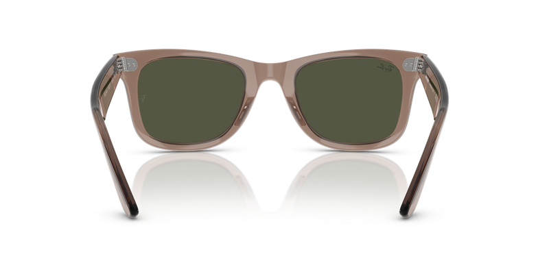 Ray-Ban WAYFARER in Transparent Light Brown - Alternate View