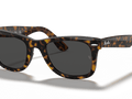 Havana On Transparent Brown / Dark Grey (1292B1)