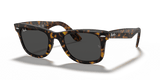 Havana On Transparent Brown / Dark Grey (1292B1)