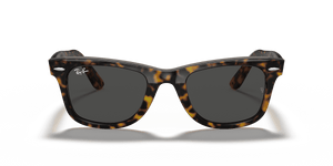 Havana On Transparent Brown / Dark Grey (1292B1)