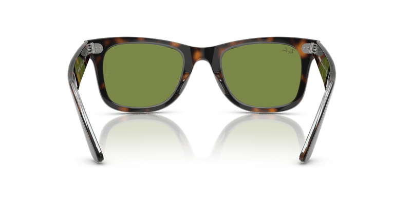 Ray-Ban WAYFARER RB2140 in Dark Havana On Multicolor / Green (14134E) - Alternate View
