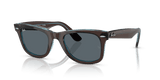 Brown On Transparent Blue / Blue (1446R5)