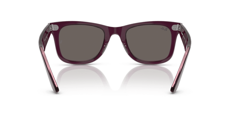 Ray-Ban WAYFARER RB2140 in Violet On Transparent Pink / Dark Grey (1447B1) - Alternate View