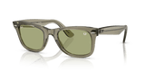 Transparent Green / Bottle Green (68694E)