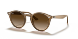 Light Brown / Brown Gradient (616613)