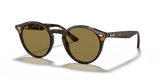 Light Havana / B-15 Brown (710/73)