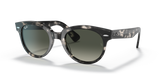 Grey Havana / Grey Gradient (133371)