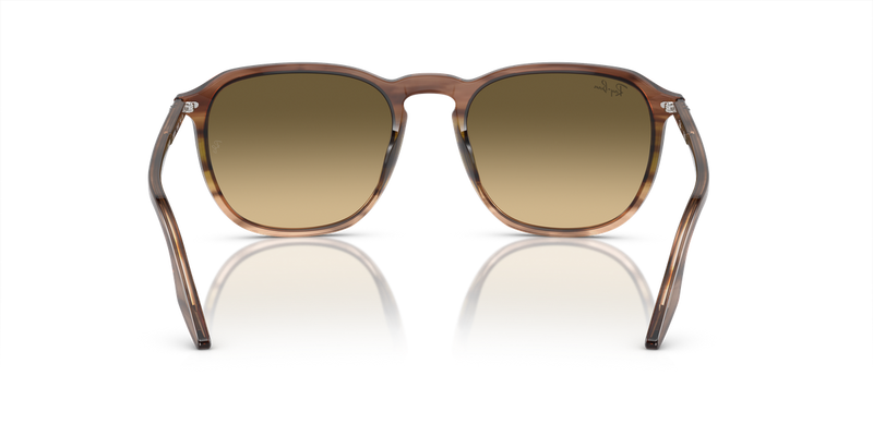 Ray-Ban RB2203 in Striped Brown & Green - Alternate View