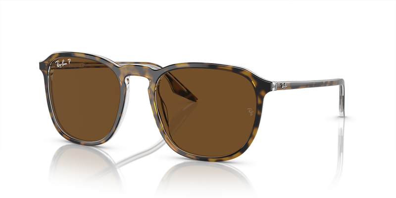 Ray-Ban RB2203 in Havana - Alternate View