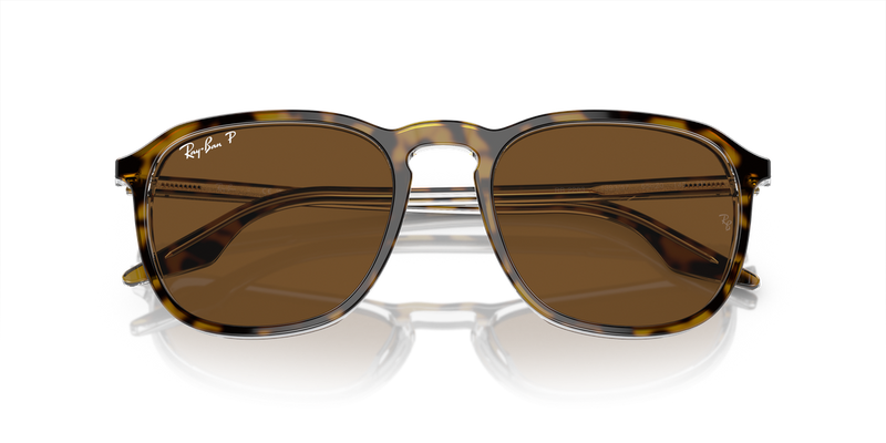 Ray-Ban RB2203 in Havana - Alternate View
