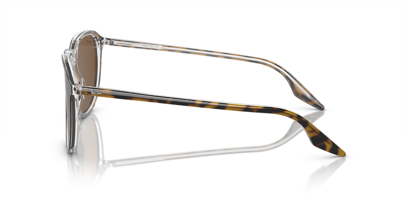 Ray-Ban RB2203 in Havana - Alternate View