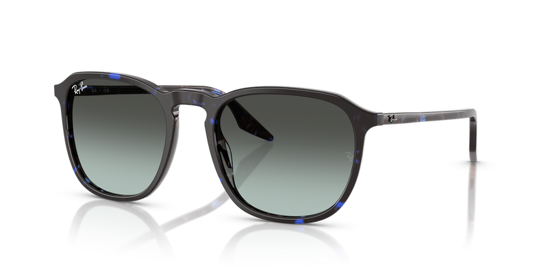 Ray-Ban RB2203 in Havana Blue Turtle - Alternate View