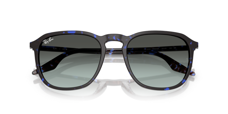 Ray-Ban RB2203 in Havana Blue Turtle - Alternate View