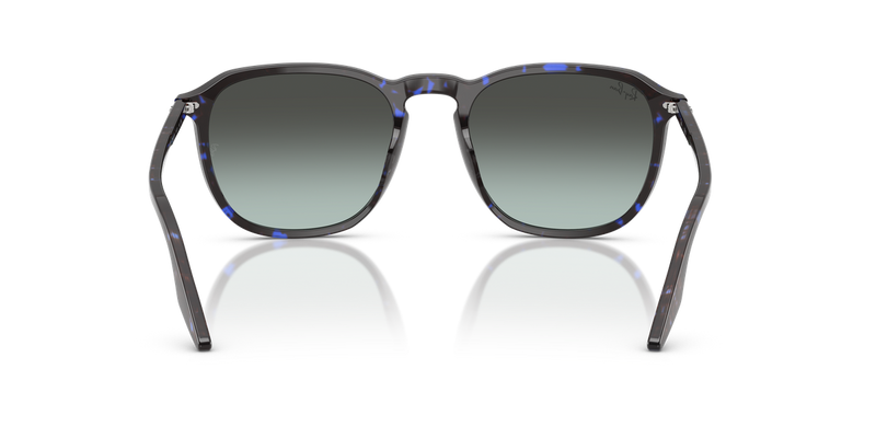 Ray-Ban RB2203 in Havana Blue Turtle - Alternate View
