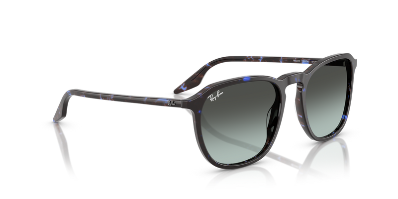 Ray-Ban RB2203 in Havana Blue Turtle - Alternate View