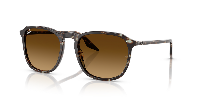 Ray-Ban RB2203 in Havana Yellow Turtle - Alternate View