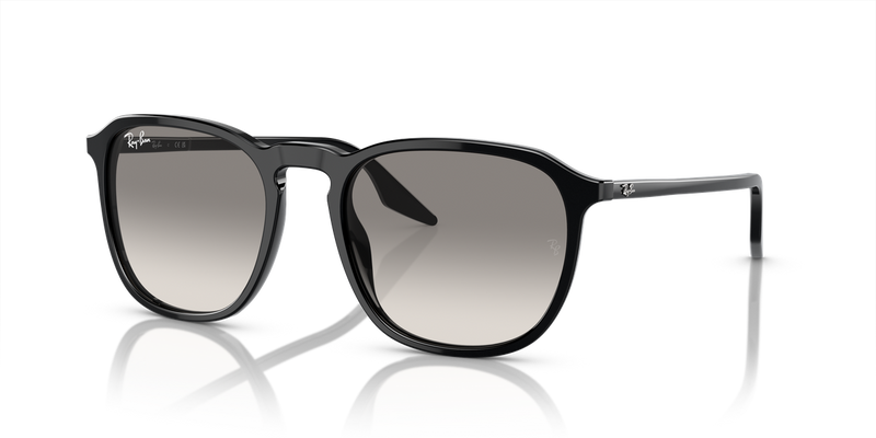 Ray-Ban RB2203 in Black - Alternate View