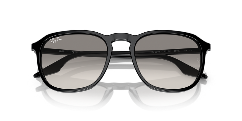 Ray-Ban RB2203 in Black - Alternate View