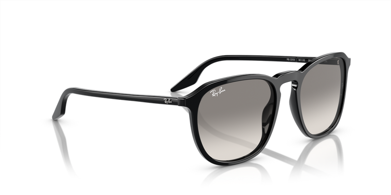 Ray-Ban RB2203 in Black - Alternate View