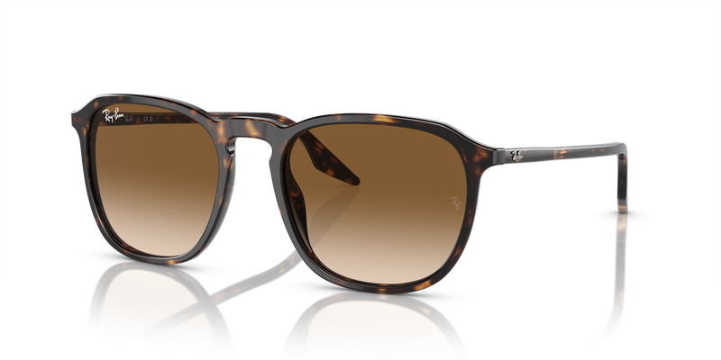 Ray-Ban RB2203 in Havana - Alternate View