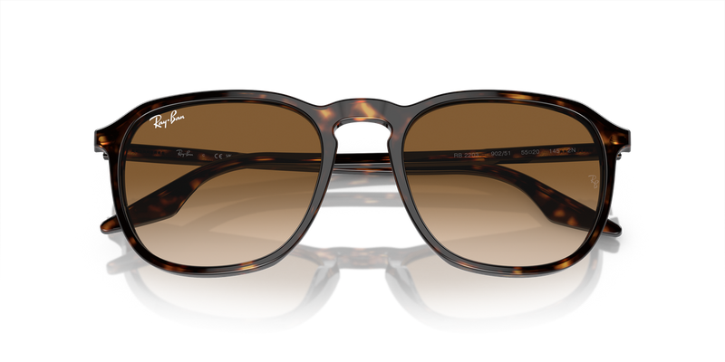 Ray-Ban RB2203 in Havana - Alternate View