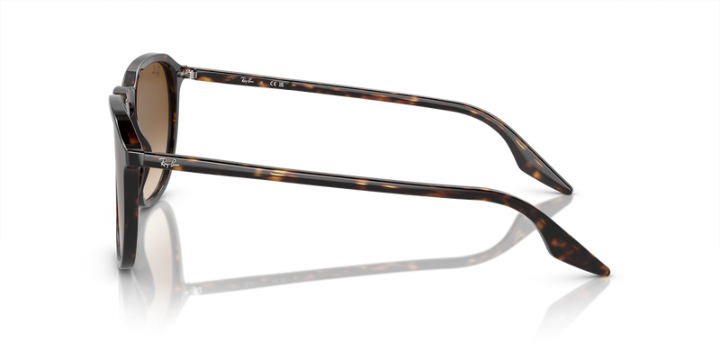 Ray-Ban RB2203 in Havana - Alternate View
