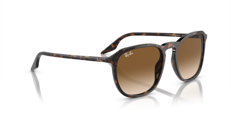 Ray-Ban RB2203 in Havana - Alternate View