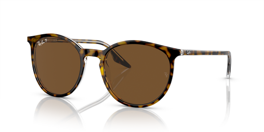 Ray-Ban RB2204 - Havana On Transparent / Brown Polarized (139357)