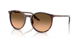 Havana Red Turtle / Pink Gradient Black (14293B)