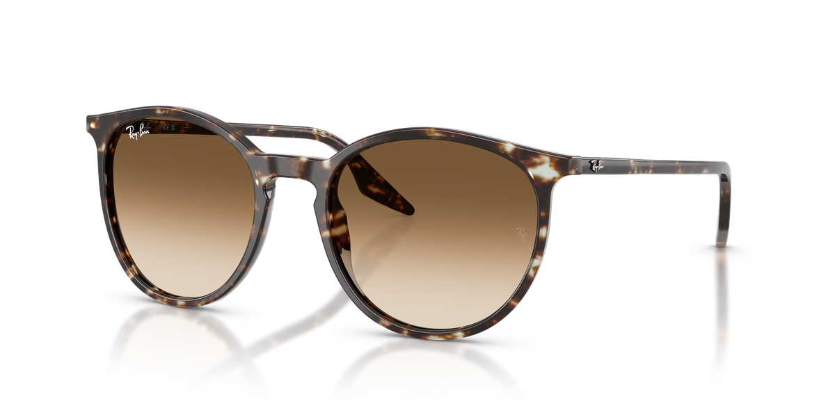 Ray-Ban RB2204