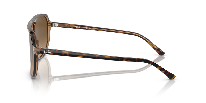 Ray-Ban BILL ONE in Havana On Transparent Brown / Brown Polarized (1292M2) - Back View