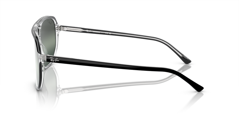 Ray-Ban BILL ONE in Black On Transparent / Silver/Blue Polarized+ (1294G6) - Alternate View