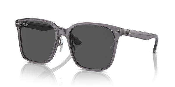 Ray-Ban RB2206D